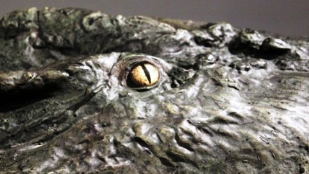 Reptil