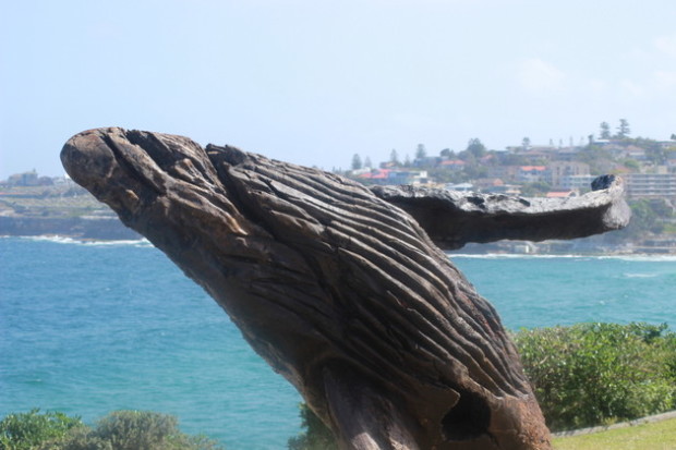 Sculptures by the Sea (45)