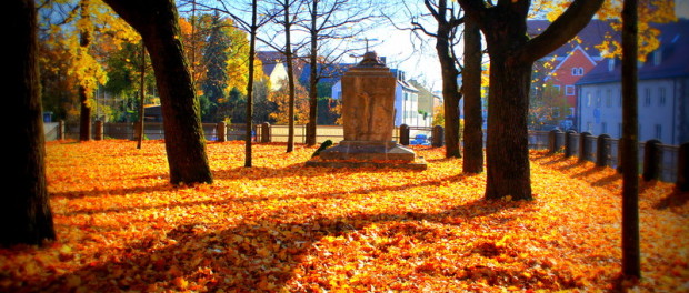 Herbstblätter im November