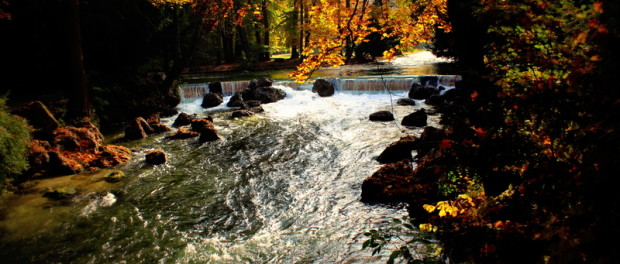 am Bach im Englischen Garten