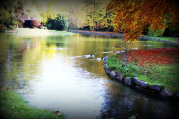 Englischer Garten