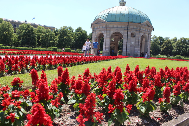 Blumenwiese