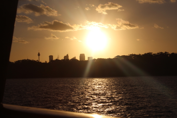 Sonnenuntergang Sydney in Manly