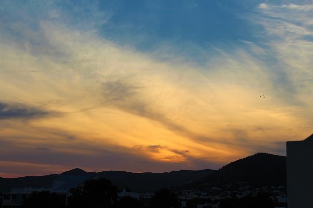 Darstellung der Bilder