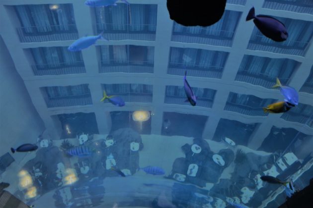 Aquarium im Cafe